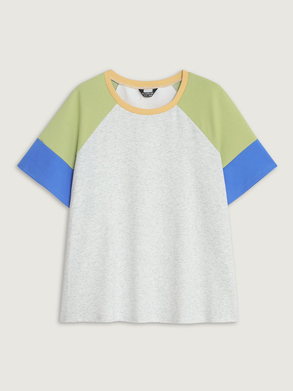Colorblock Raglan Sleeve Plain T-Shirt