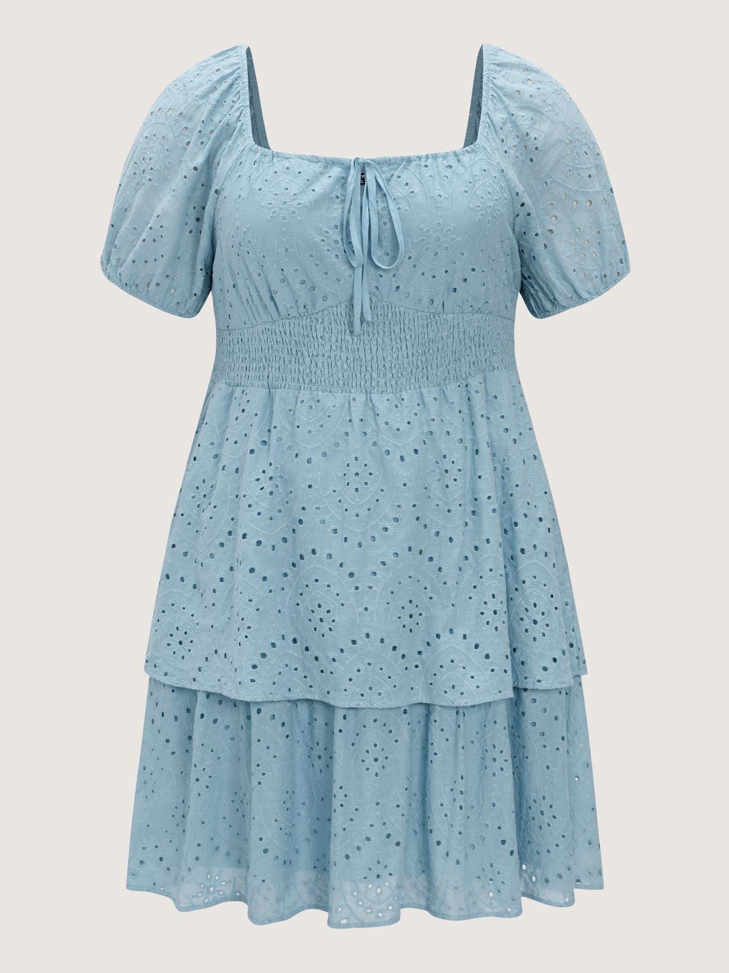Eyelet Embroidered Cinched Waist Mini Dress